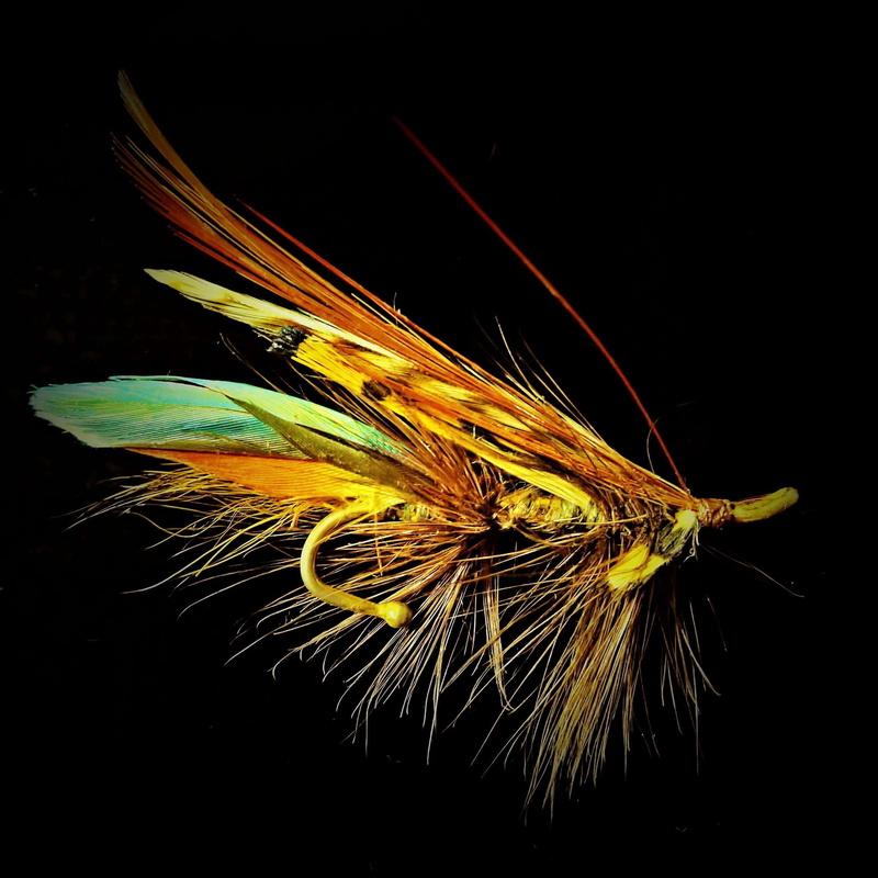 flower, close-up, flowering plant, vulnerability, no people, fragility, studio shot, fly fishing, invertebrate, indoors, brooch, plant, one animal, insect
