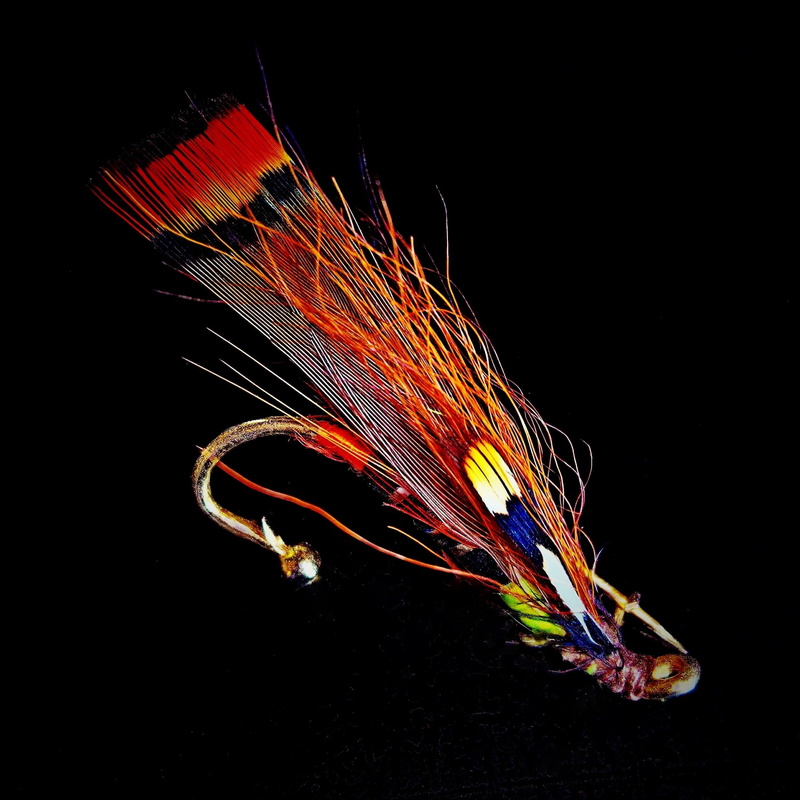 container art, animals in the wild, animal themes, fish, insect imitation, from feather, fly fishing, animal wildlife, no people, multicolored, close-up