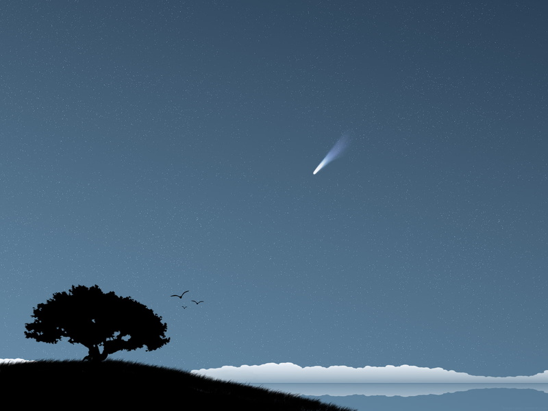 birds, abstract, 720P, artwork, clouds, trees, graphic design, vector