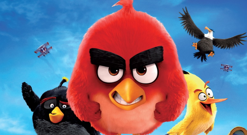 1080P, nature, humor, cloud - sky, Cartoons, angry, disguise, Others, fun, animal themes, bizarre, animal wildlife, close-up, sky, spooky, birds