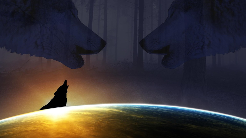 sing, wolves, 1080P, every, animals, howling, moon, night, poem, reason, wolf