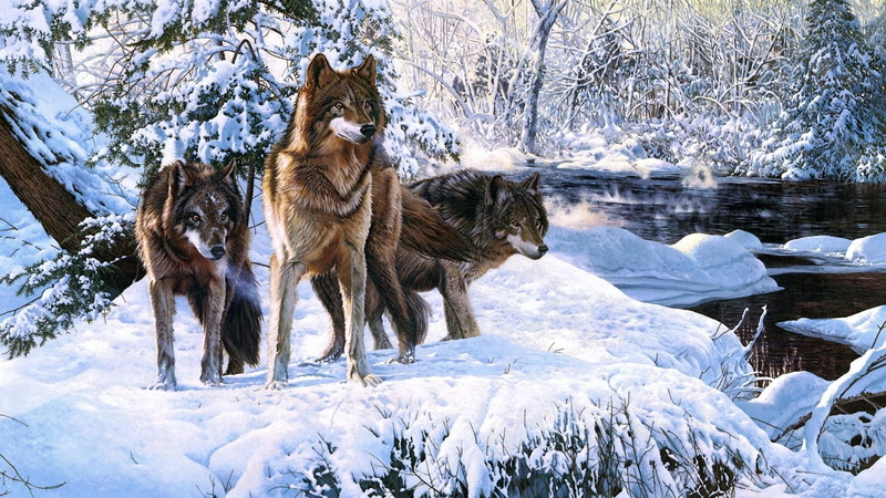 wolves, art, snow, wolf, painting, winter, 1080P, forest