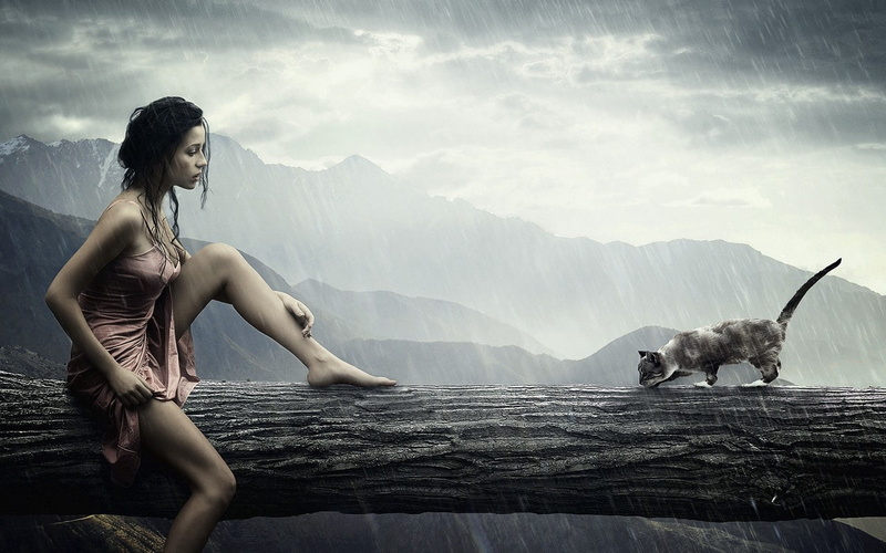 trunk, hd, 720P, haired, creative, tree, beautiful, black, creative and graphics, amp, woman, graphics, girl, cat