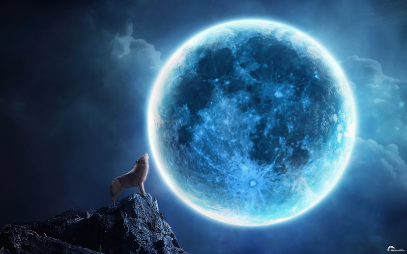 night, Moon, howling, art, moonlight, animals, mood, wolves, landscapes, dogs, wolf, 1080P, clouds, fantasy, Magic, digtal, sky, CG