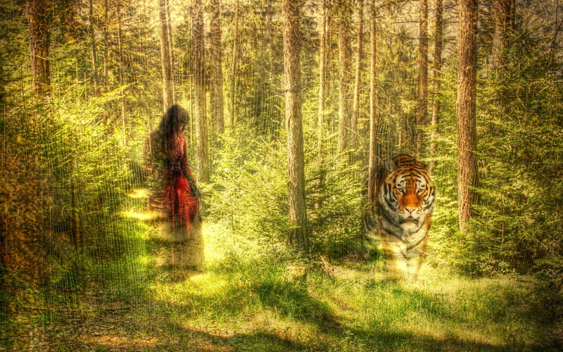 fantasy, 3d and abstract, woman, mirage, artistic, tiger, beauty, forest, 2K