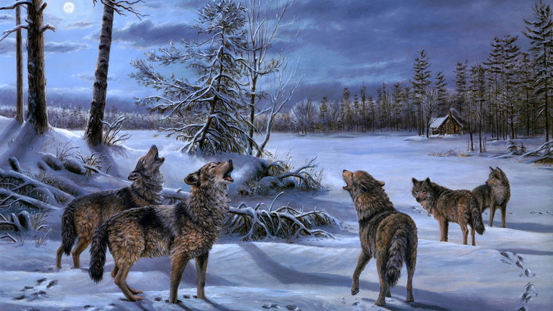 environment, forest, wolves, group of animals, mammal, herd, wildlife, no people, snowcapped mountain, cold temperature, wolf, art, animal wildlife, plant