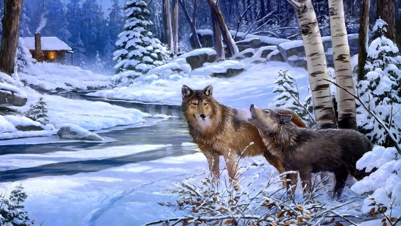 freezing, wolf, animals in the wild, house, snowy, land, snow, winter, mammal, wolves, day, frost, snowcapped mountain, plant, river, wildlife, snowing