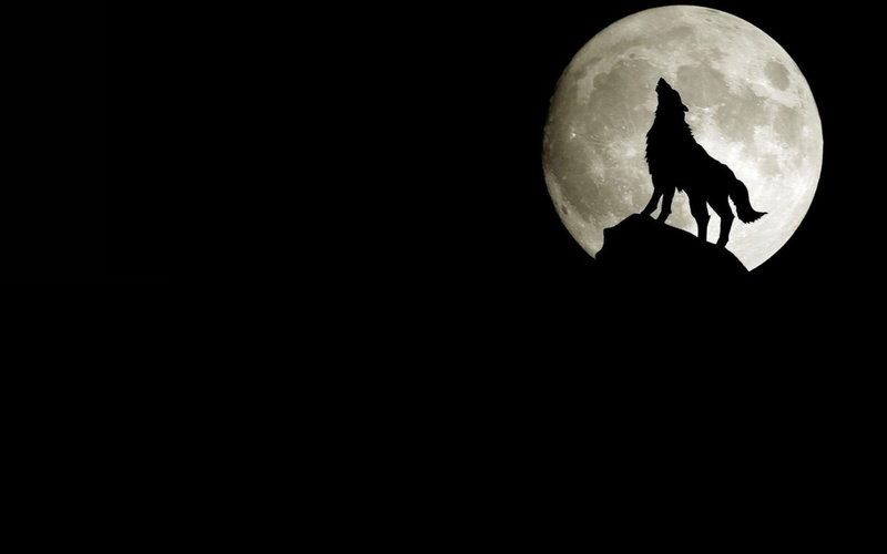 moons, night, Moon, howling, wolf, space, 1080P, hd, art, wolves