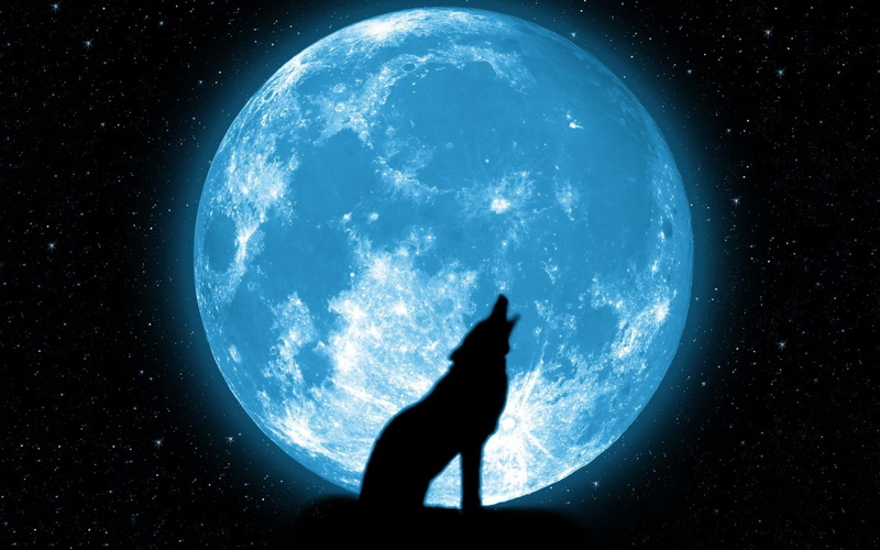 nature, planet - space, astronomy, discovery, star - space, silhouette, moon, space exploration, quality, illustration, night, outdoors, high