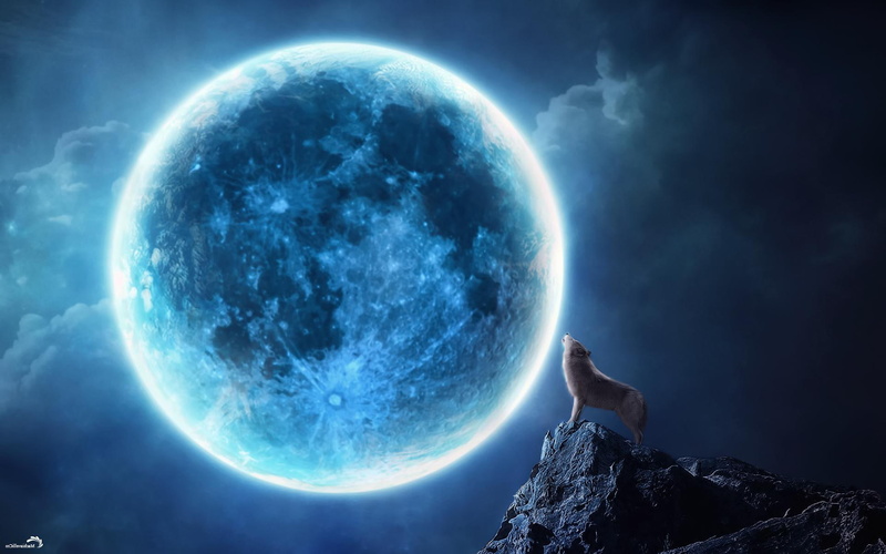 dark, wolves, astronomy, planet - space, dogs, shape, blue, nature, moon surface, cloud - sky, Moon, fantasy, Magic, art, planet earth, 1080P, wolf, animals