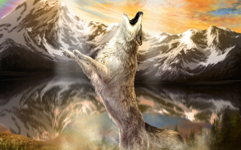 Animal, 1080P, Wolf, Artistic, Howling, Mountain