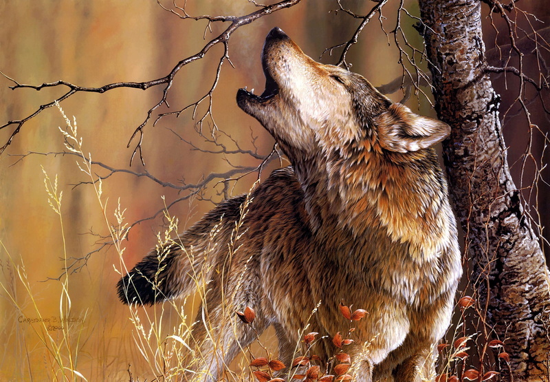 Howling, Animal, Wood, Artistic, Forest, Painting, Wolf, 1080P