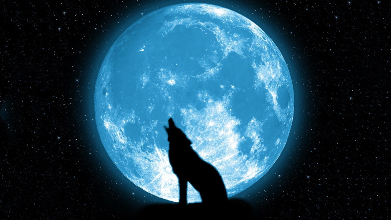 galaxy, dark, science, stars, howling, night, space, star - space, cloud - sky, Beautiful, 2K, astronomy, moon, wolf, nature, full length, outdoors, planet earth