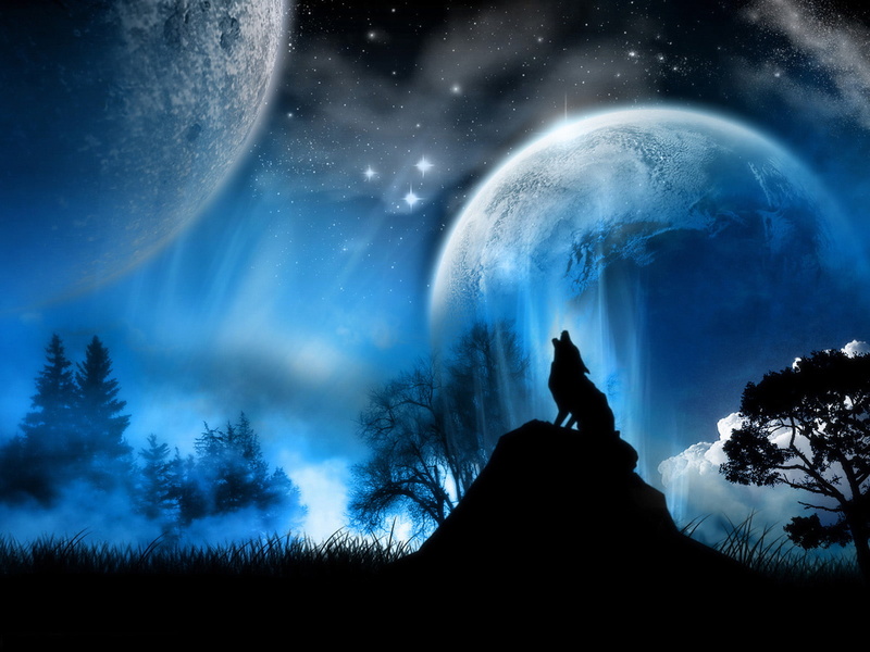 wolf, wolves, moon, 720P, blue, howling, illustrations, animals
