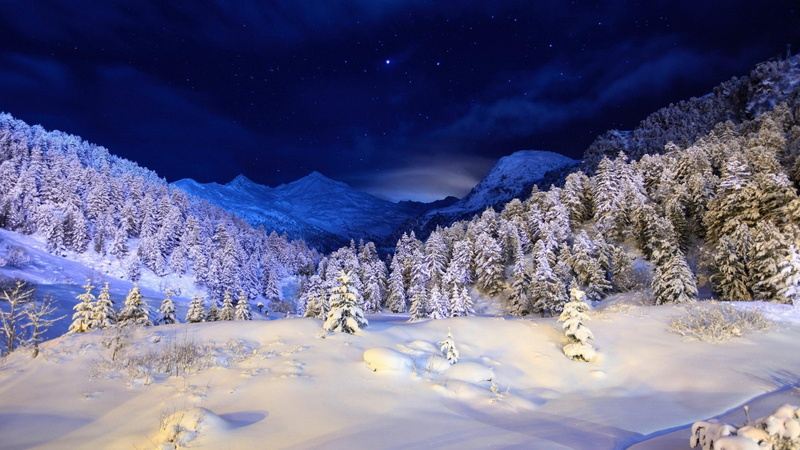 starry, mountain, coniferous tree, cold temperature, 4K, tree, snowcapped mountain, mount scenery, starry night, scenics - nature, environment, scenery