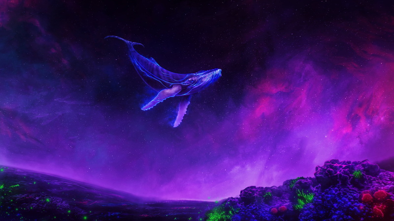 4K, Purple, Whale, Sky, Fantasy Animals