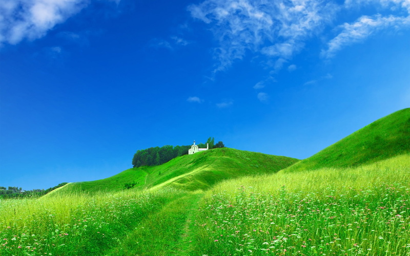 Home, Dream, Hillside, 1080P, green
