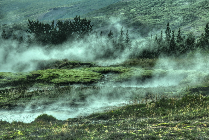 forest, hillside, 4K, landscape, foggy, mountain, mist, fog