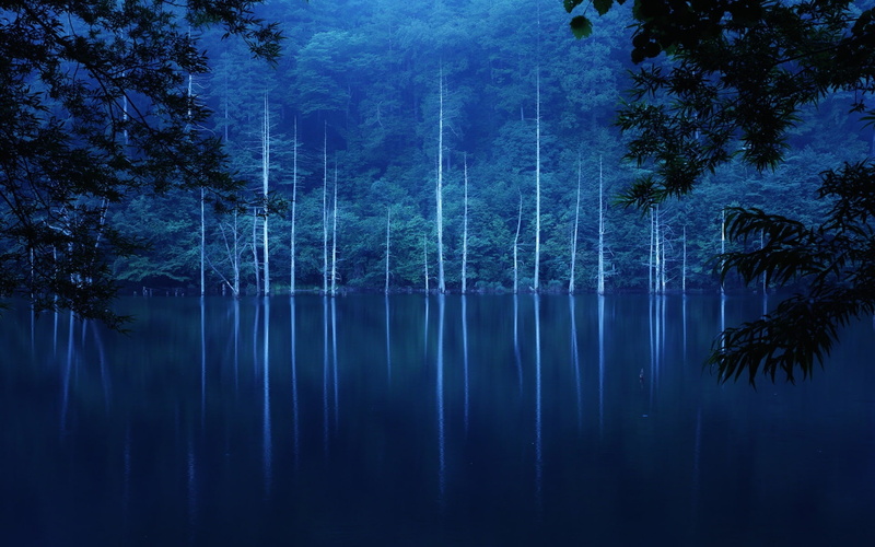 Night, water, Trees, body, 1080P, Fog, Forest, Hillside, Lake