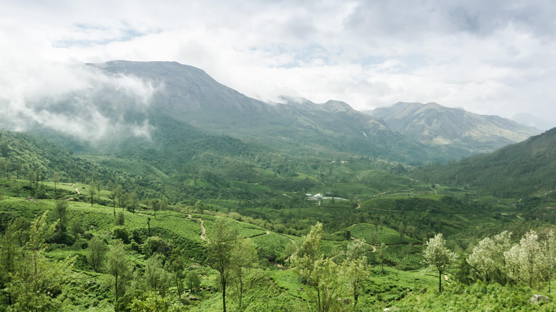 vegetation, plant, land, non-urban scene, tree, landscape, growth, tea gardens, outdoors, mountain, cloud, day, green, valley, sky, no people, cloud - sky