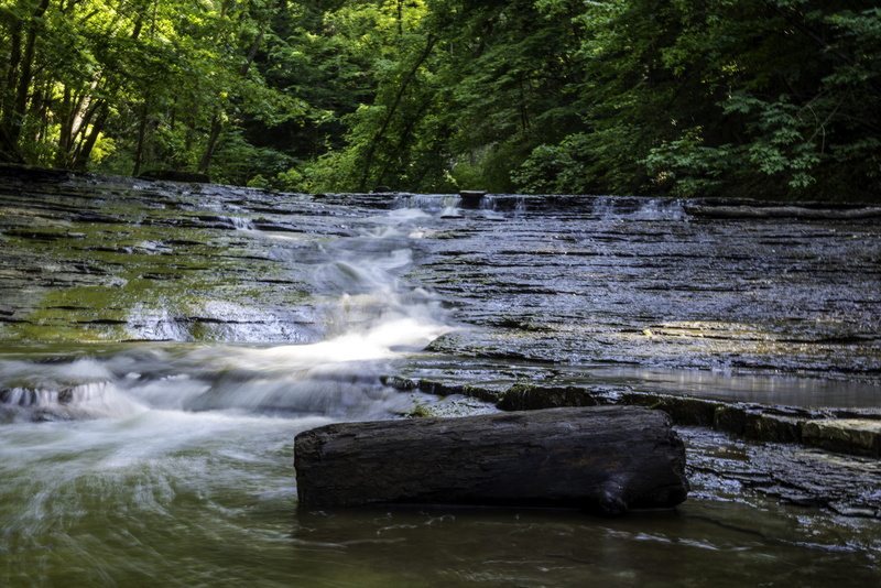 cayuhoga, stream - flowing water, waterfall, tree, public domain, photo, on the water, tranquility, green Color, cayugona valley national park, nature