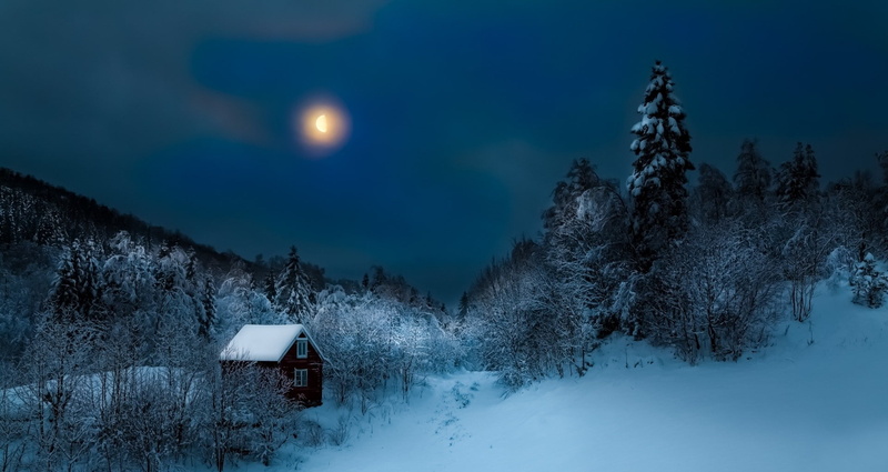 plant, scenics - nature, snow, landscape, covering, mist, moonlight, full moon, night, Moon, beauty in nature, cold temperature, nature, tree, snowcapped mountain