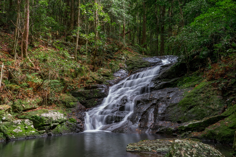 falls, freshness, australia, post  processing, green Color, outdoors, Kondalilla National Park, lapse, park  falls, river, brisbane, water, maleny, kondalilla  national  park