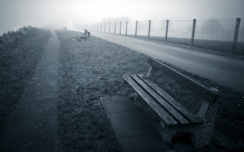 architecture, fence, empty, wooden, plant, landscape, brown, street, day, 720P, transportation, gray, city, monochrome, no people, water, nature, dirt road