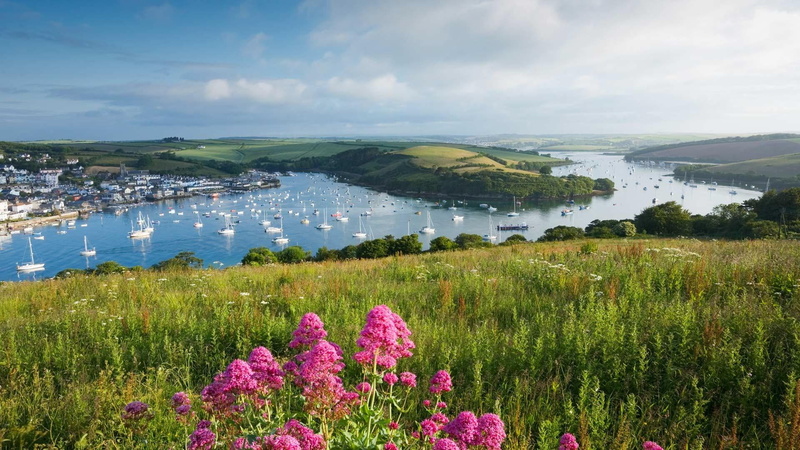 day, flower, united kingdom, sky, scenics - nature, devon, no people, landscape, non-urban scene, beauty in nature, 1080P, water, europe, land, flowering plant