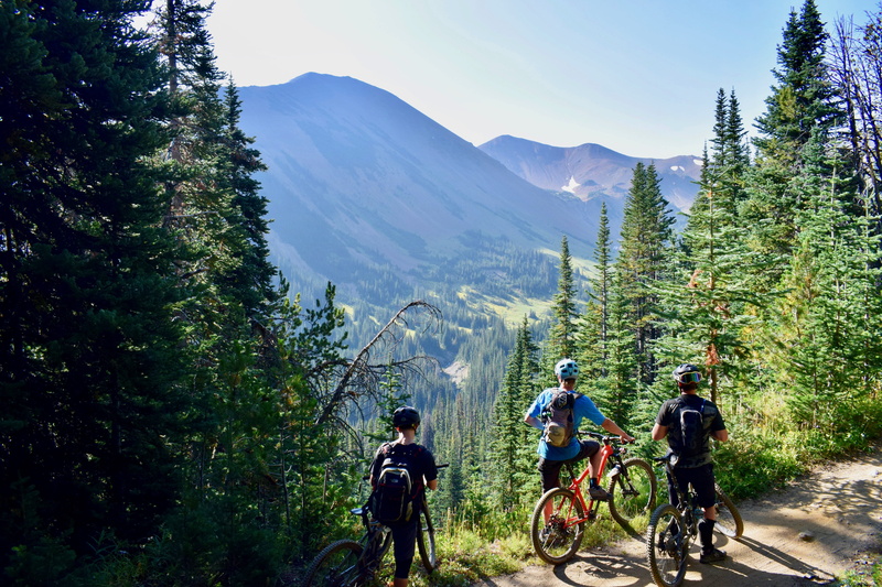 nature, scenic, plant, forest, landscape, cycling, valley, mountain range, lifestyles, 5K, daytime, helmet, trees, bicycles, scenery, men, transportation