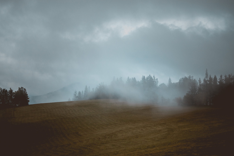 landscape, day, hillside, photography, dark, tree, cloud - sky, hill, forest, cloud, tranquility, 5K, land, non-urban scene, mountain, fog, beauty in nature