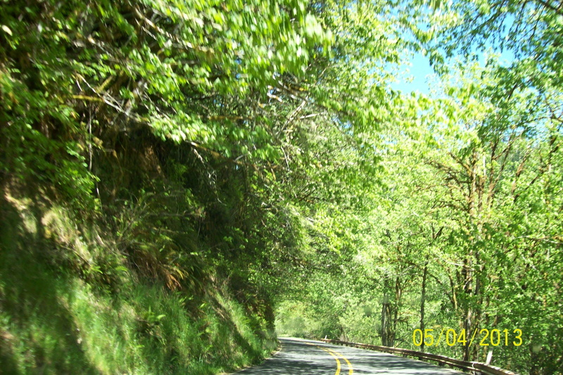 greens, roadway, 2K, nature, trees, blue-sky, hillside, beautiful