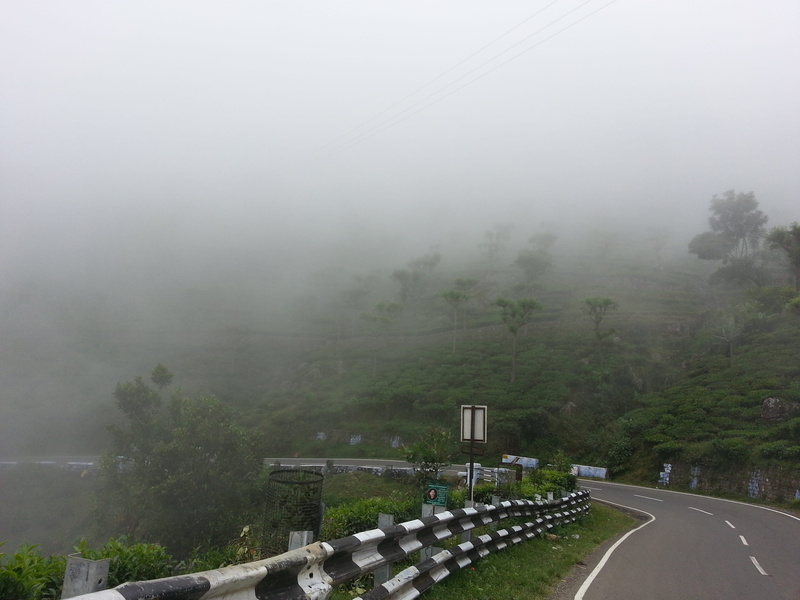 the way forward, plant, railing, hillside, 2K, fog, no people, outdoors, nature, day, architecture, mist, cloudy, kotagiri, tranquil scene, tree, greenery