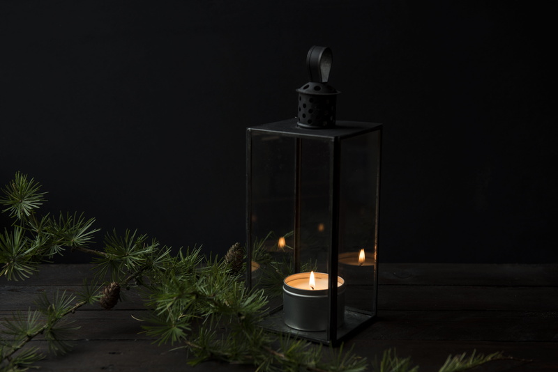 celebration, metal, autumn, green, dark, container, plant, burning, illuminated, nature, heat - temperature, indoors, black background, black, tea light