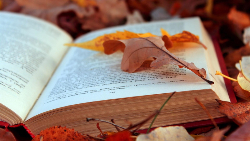 leaf, music, life, no people, 1080P, pages, plant part, still life, high angle view, texts, text, indoors, publication, book, change, books, pencil, communication