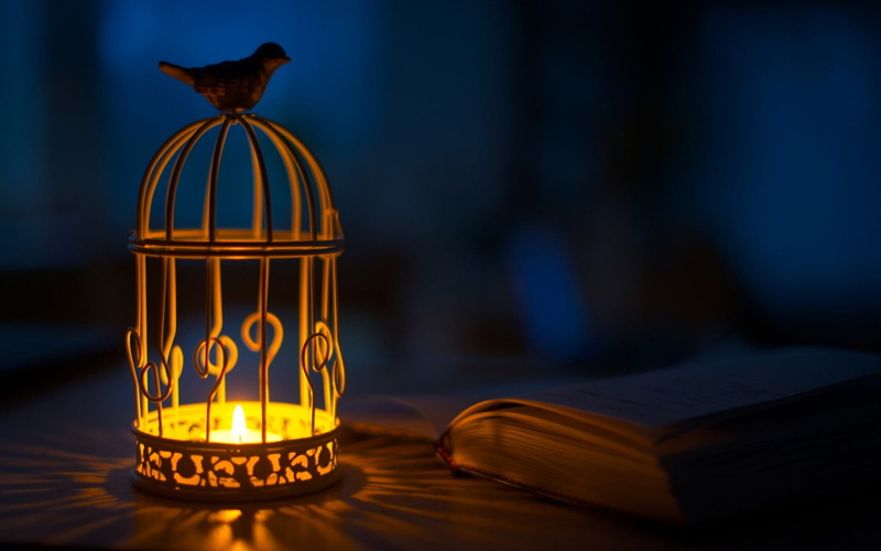 books, publication, burning, blue, cages, candles, fire, brown, indoors, book, table, close-up, 1080P, food and drink, birds, flame, holder, focus on foreground