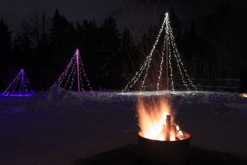 joy, decorations, burning, fun, tree, canada, christmas decoration, celebration, event, christmas eve, decoration, background, decor, plant, light, glow