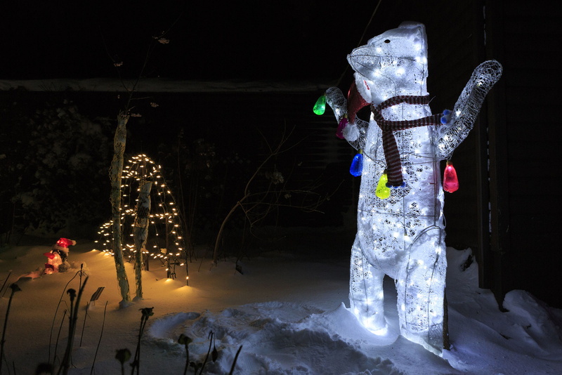 america, glow, snowman, newfoundland and labrador, childhood, symbol, magical, standing, fun, background, celebration, human representation, tree, christmas eve
