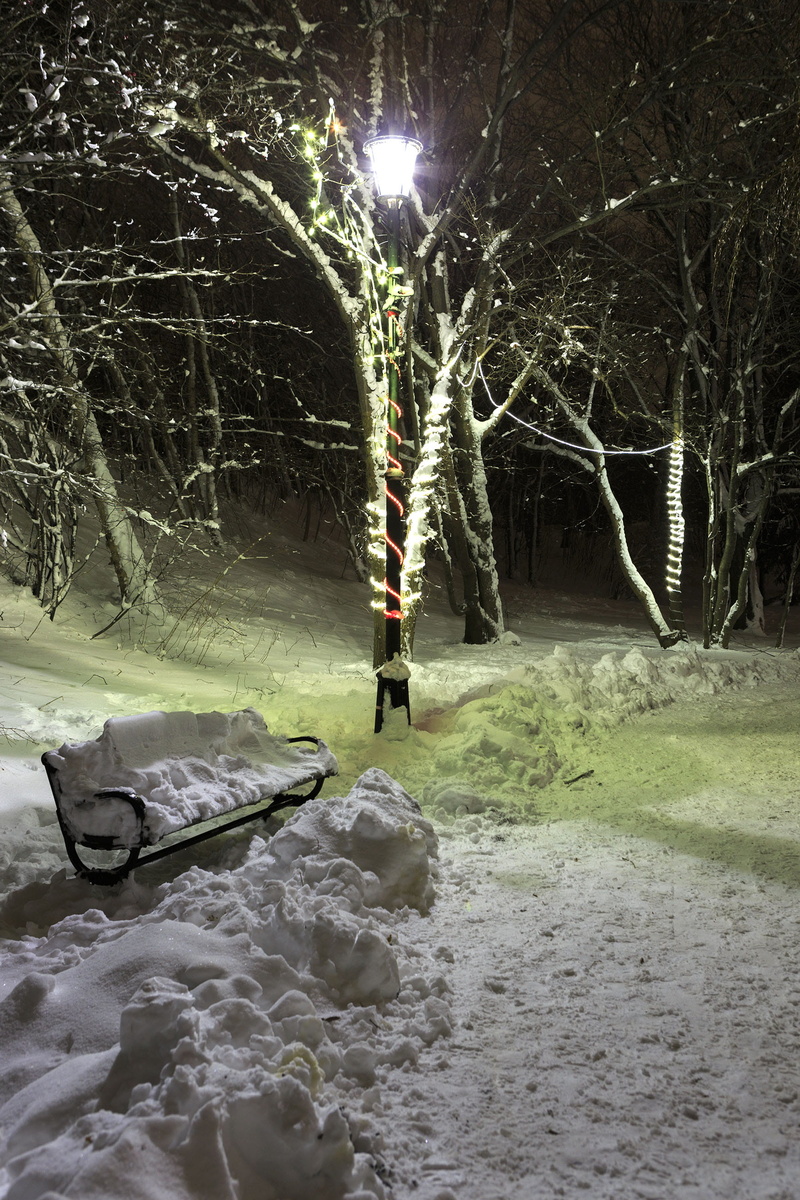 america, lights, bare tree, glowing, flashing, celebration, dark, festival, leisure activity, tree, lifestyles, glow, cold temperature, light, symbol, outside