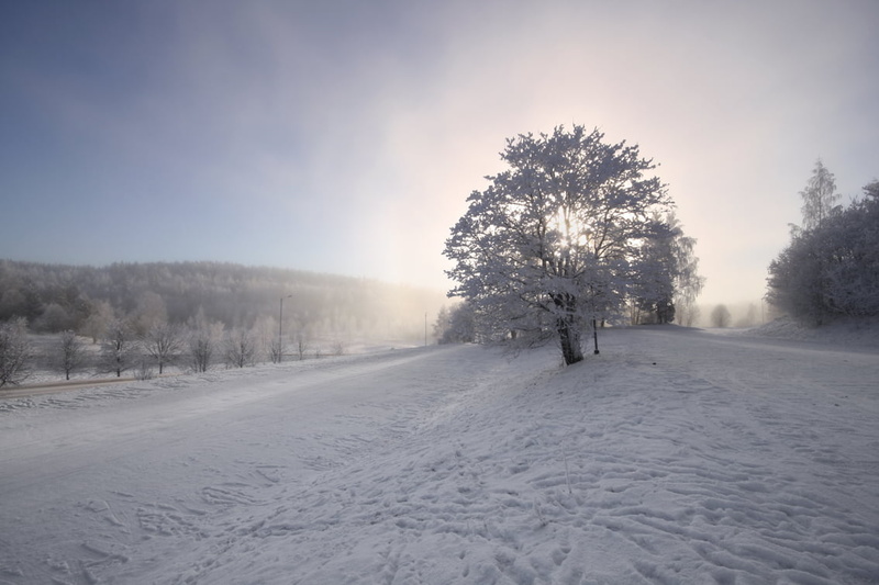 natural, digital, photography, Travel, non-Urban Scene, Finland, 480P, north, Winter, covered, pic, weather, ambience, 20mm, sunlight, lighting, scene
