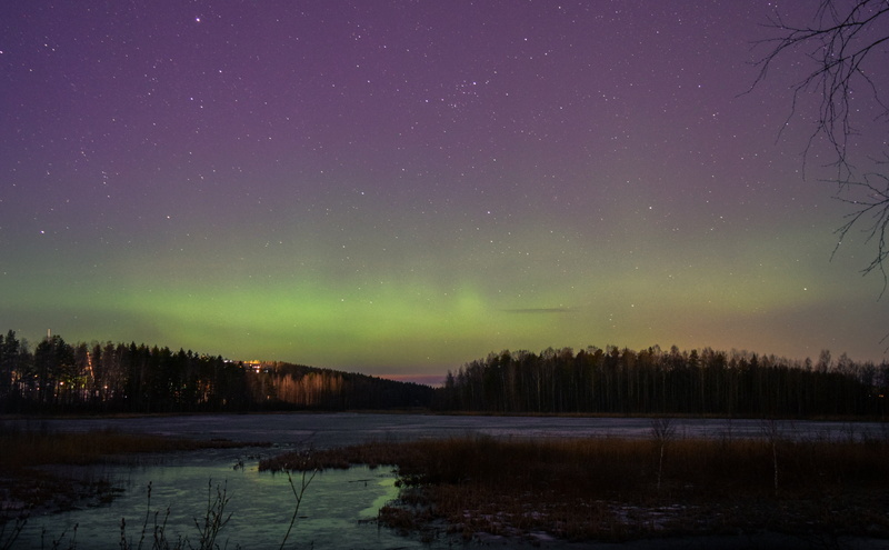 nature, space, water, purple, tree, outdoor, tranquility, plant, aurora, astronomy, star - space, green color, lake, illuminated, tranquil scene, finland