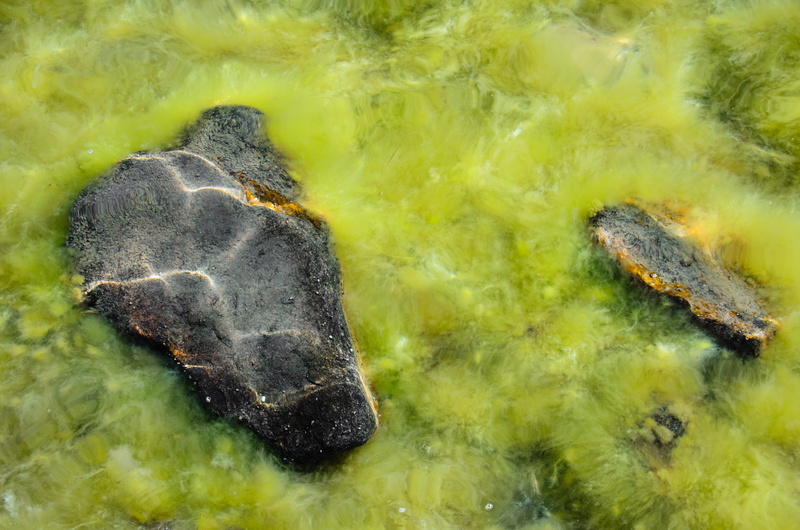 waves, kökar, water, solid, kÖkar, 4K, summer, close-up, deep, reflection, kökar service, nordic, green color, yellow, animal wildlife, no people, sea