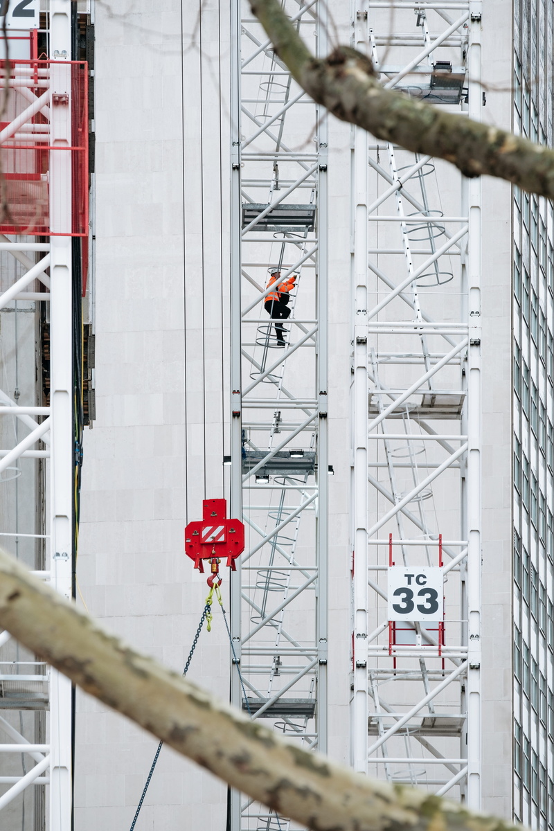 tree branch, people, ladder, orange jacket, metal, men, development, wearing, outdoors, person, scaffold, real people, up, man, construction site, orange