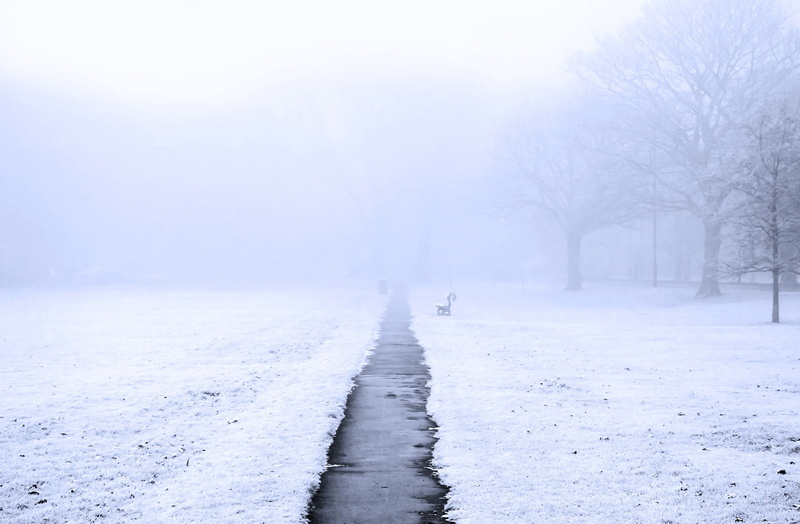 ground, tranquil scene, street, outdoors, snowing, pathway, no people, cold temperature, plant, the way forward, white, season, nature, frozen, gray, weather