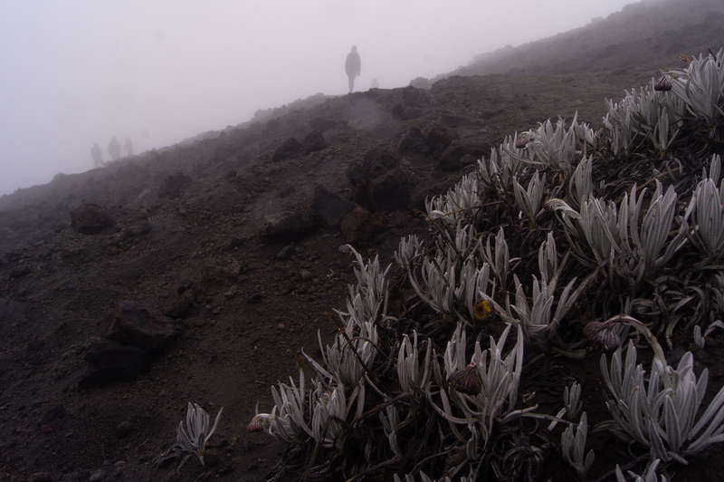 hiking, tranquility, scenics - nature, climate, formation, beauty in nature, 4K, adventure, fog, landscape, sony a55, ambient, arid climate, sky, nature