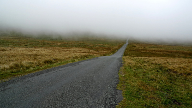 scenics - nature, unexpected, plant, foggy, direction, transportation, change, mist, 4K, fog, tranquil scene, cloud, hidden, diminishing perspective, gray