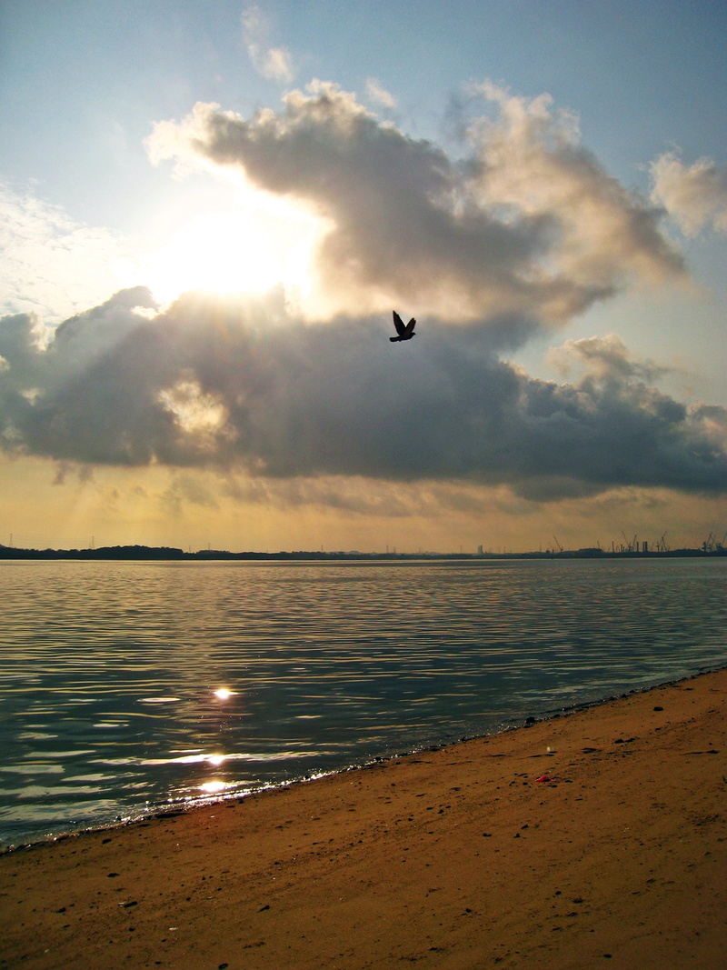 sun, I wish, flying, Best, outdoors, taken, black, wish I, sunset, sea, Theme, img, white, coastline, dusk, beach, nature, water, Distillery, cloud - Sky
