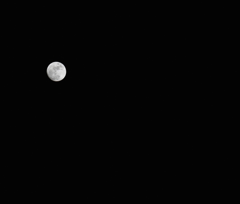 scenics - nature, circle, sphere, moon Surface, space, space and astronomy, star, travel, tranquil, bright, beauty in nature, geometric shape, light, nature