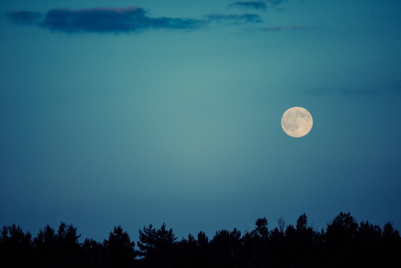 planetary moon, tranquility, nighttime, moonlight, idyllic, tree, moon, space, landscape, no people, night, tree line, nature, scenics, blue, tranquil scene