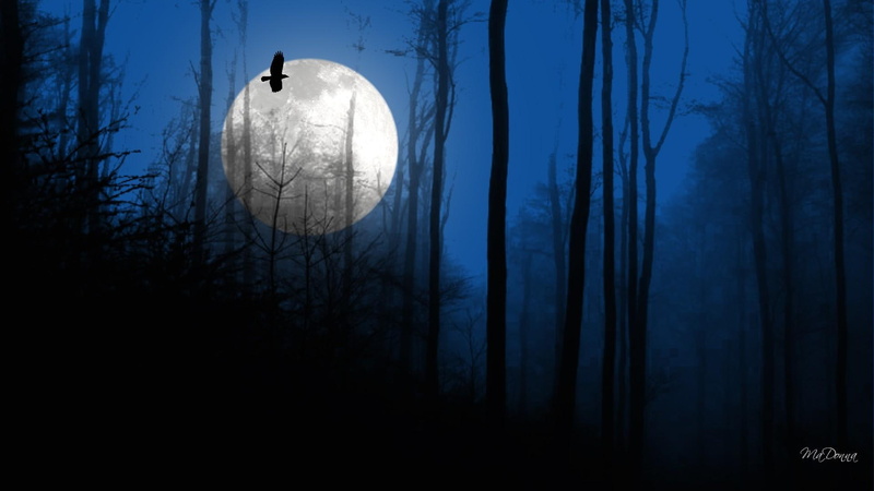 raven, 3d and abstract, moon, 1080P, full moon, woods, night, flies, forest, blue, trees, bird, crow, twilight